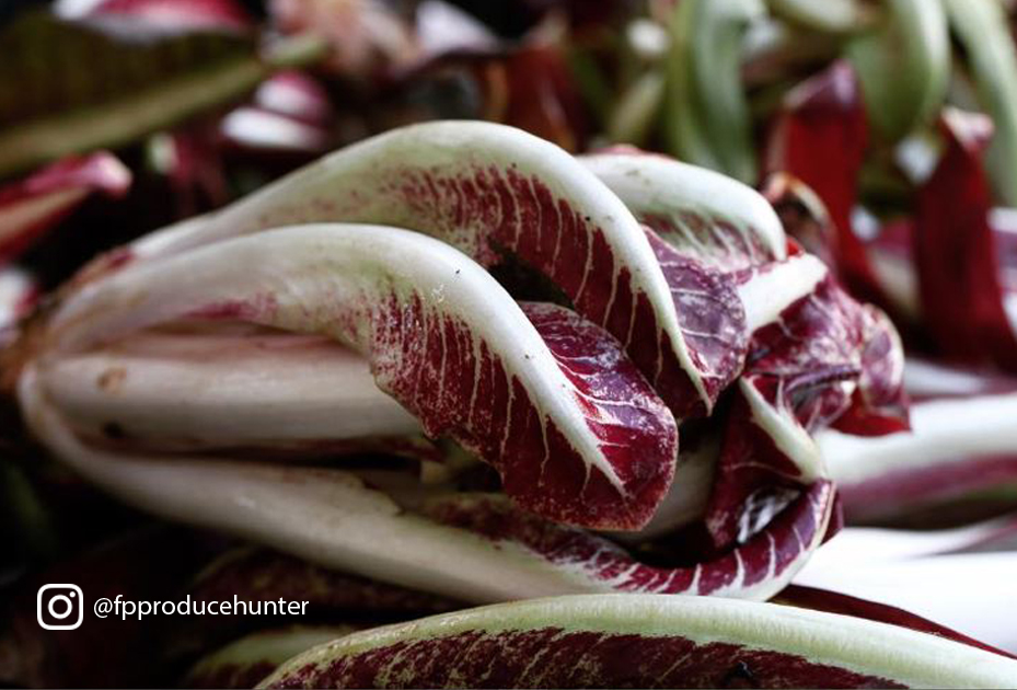 Farmer Romeo, Coleman Family Farm is Carpinteria, is makin' all our Tardivo dreams come true.