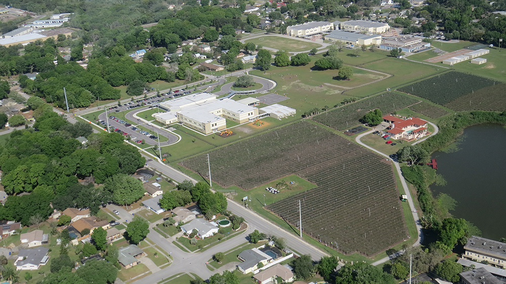 Tom West Blueberries is one of our local farmers in Ocoee, Florida.