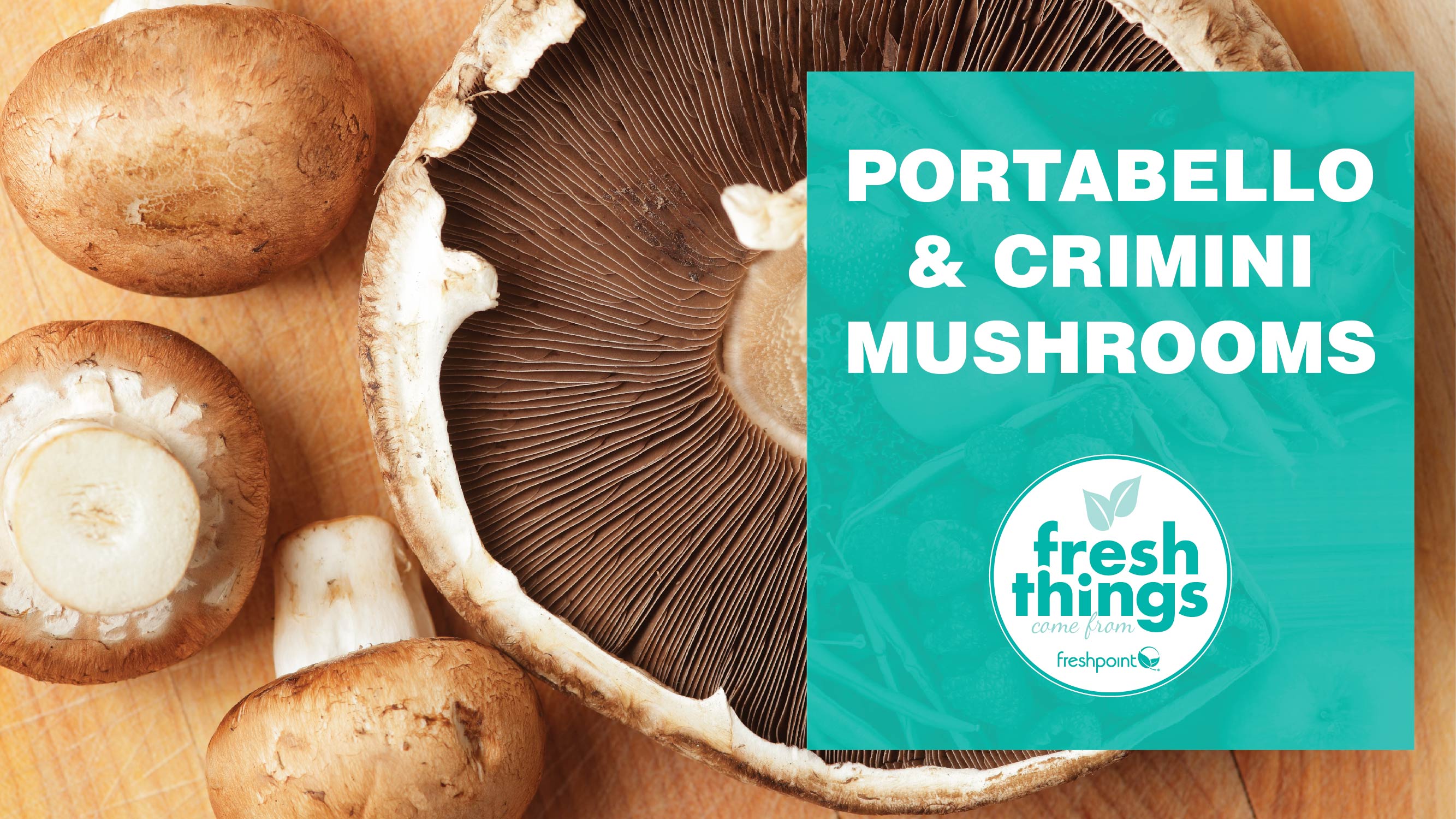 video_thumbnails_YOUTUBE-TEMPLATE_mushrooms-01 mushrooms-freshpoint-produce