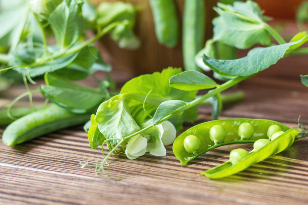 peas-freshpoint-produce
