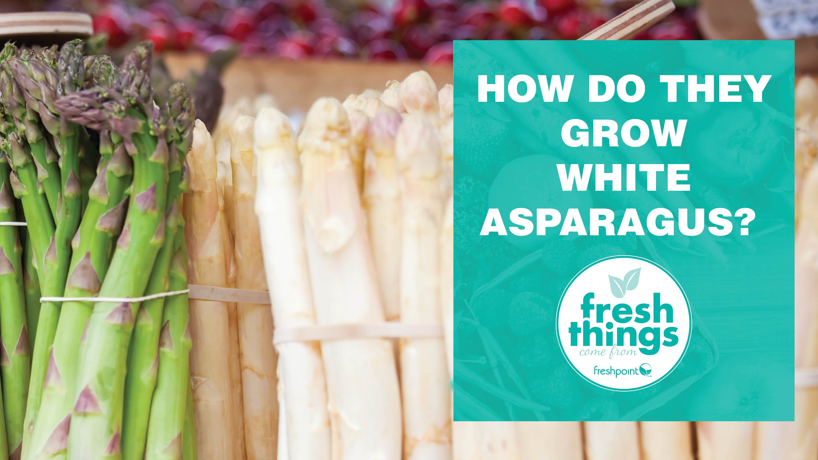 freshpoint-produce-how-do-they-grow-white-asparagus
