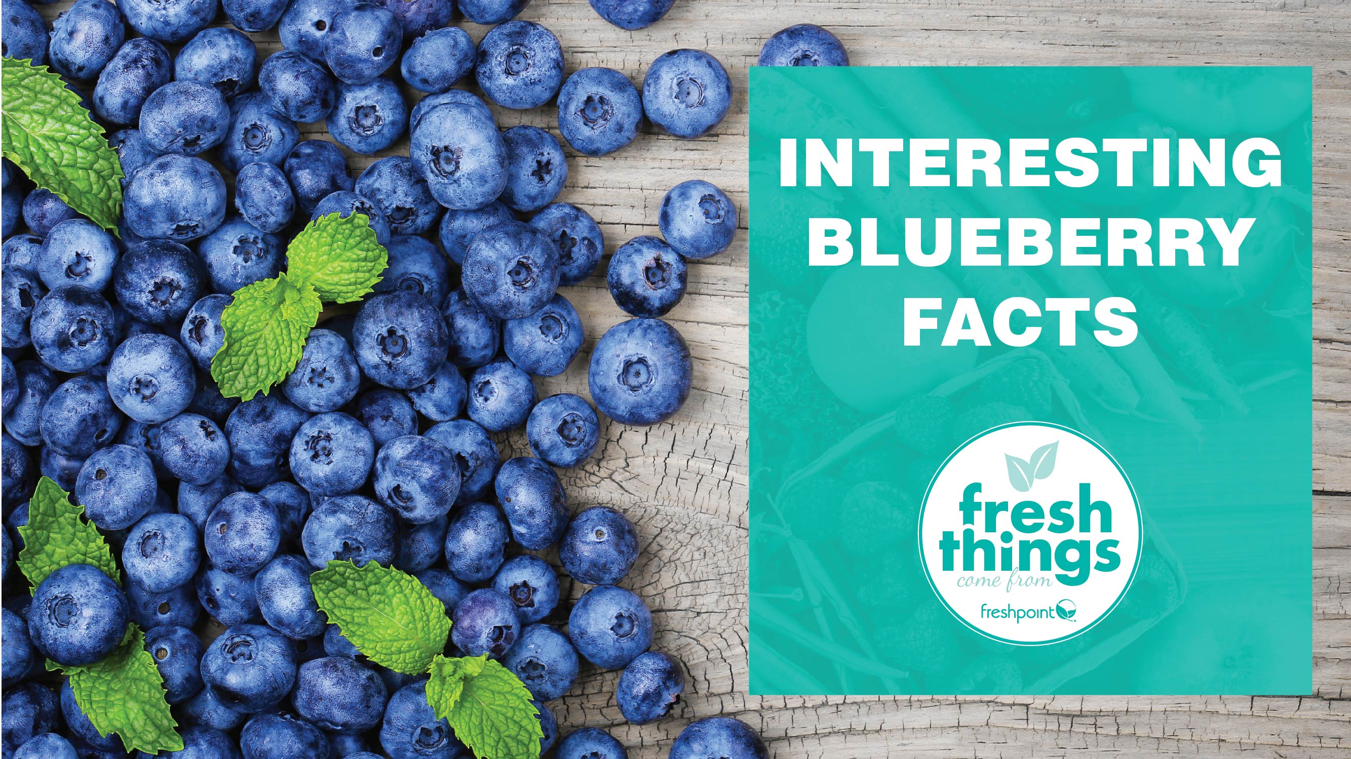 freshpoint-produce-blueberries