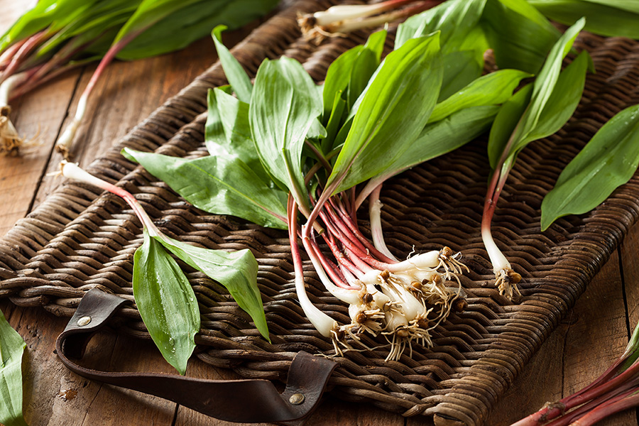 Raw Organic Green Ramps ramps