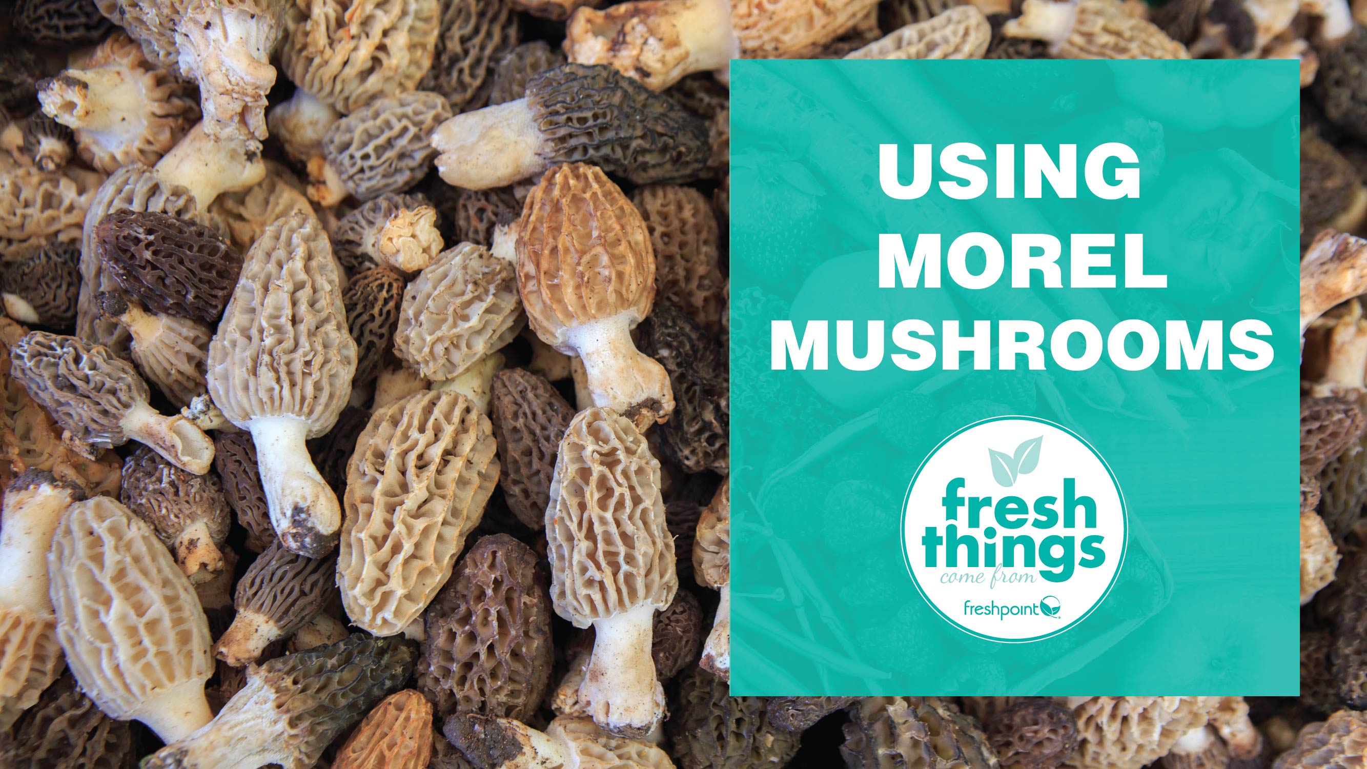 freshpoint-produce-how-to-clean-morel-mushrooms