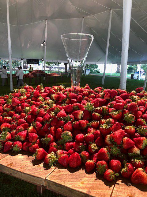 Strawberries and Champagne freshpoint produce vanderbilt university 1