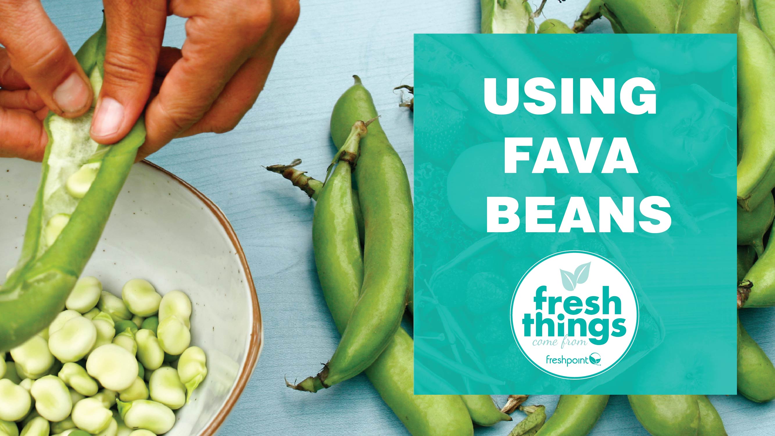 video_thumbnails_YOUTUBE-TEMPLATE_fava-v2-01 freshpoint-produce-fava beans