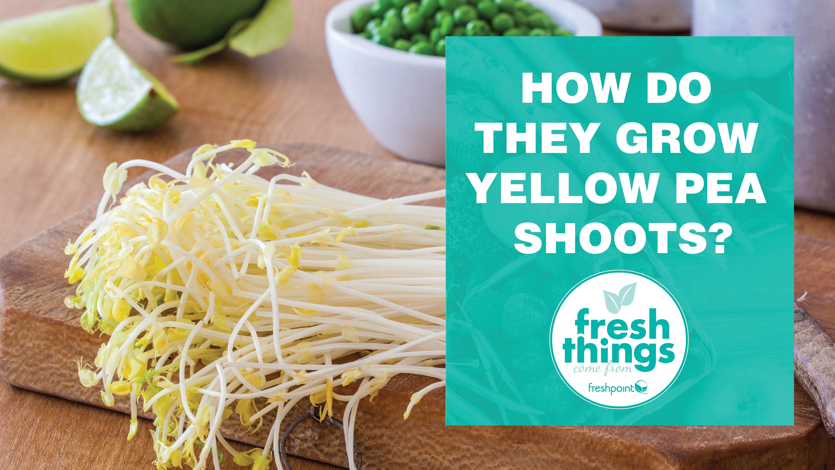 video_thumbnails_YOUTUBE-TEMPLATE_pea-shoots v2-01 freshpoint-produce-yellow pea shoots