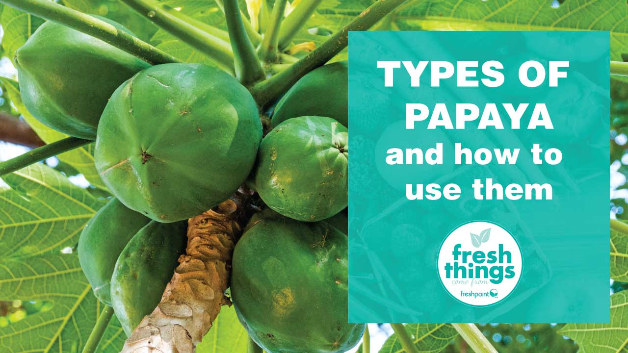 freshpoint-produce-types-of-papaya-and-how-to-use-them