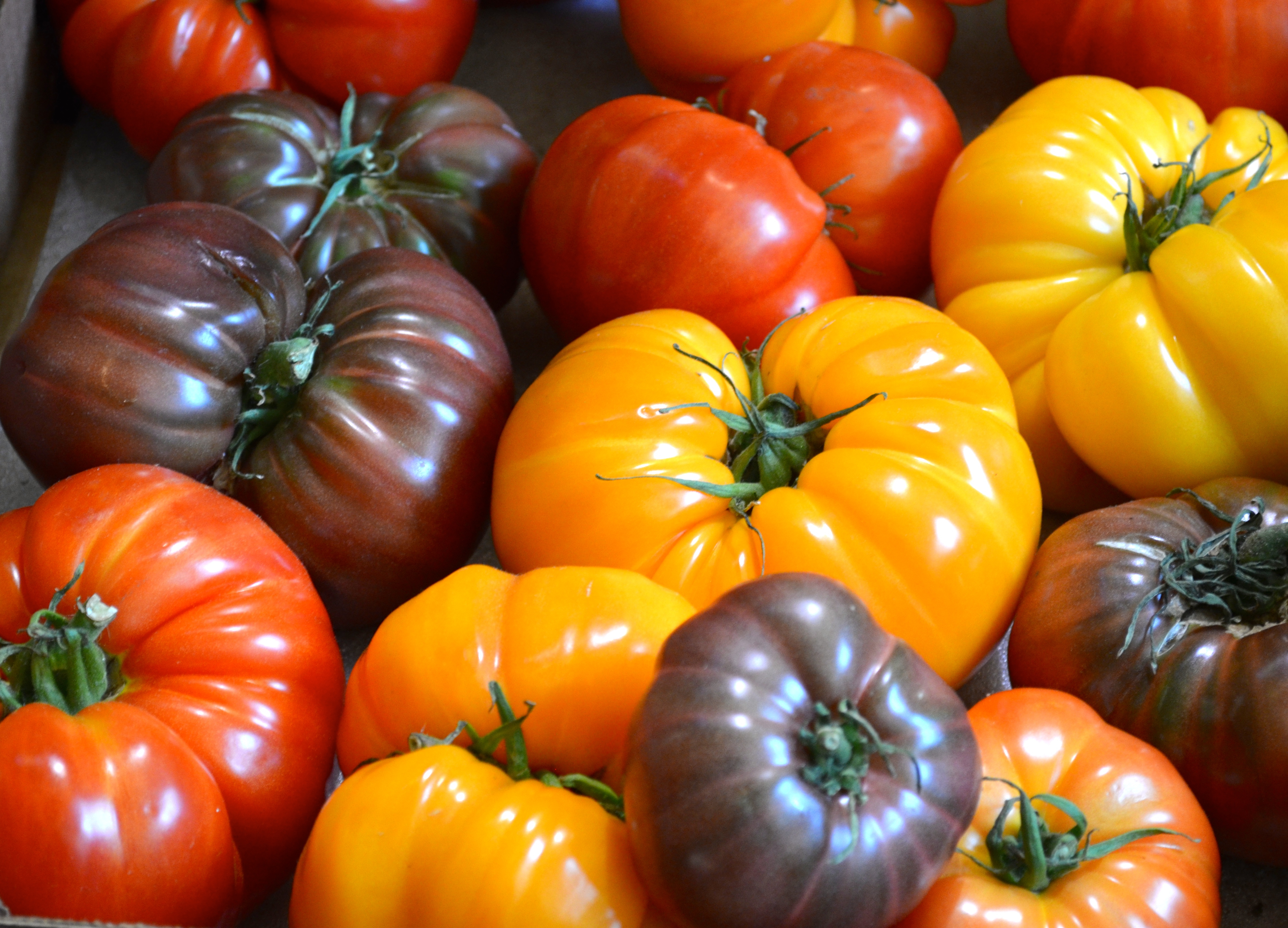 III. History and Origins of Heirloom Tomatoes