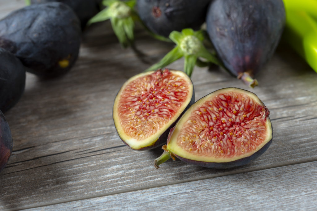 FreshPoint Fresh Things Video What do Figs and Wasps have in common?