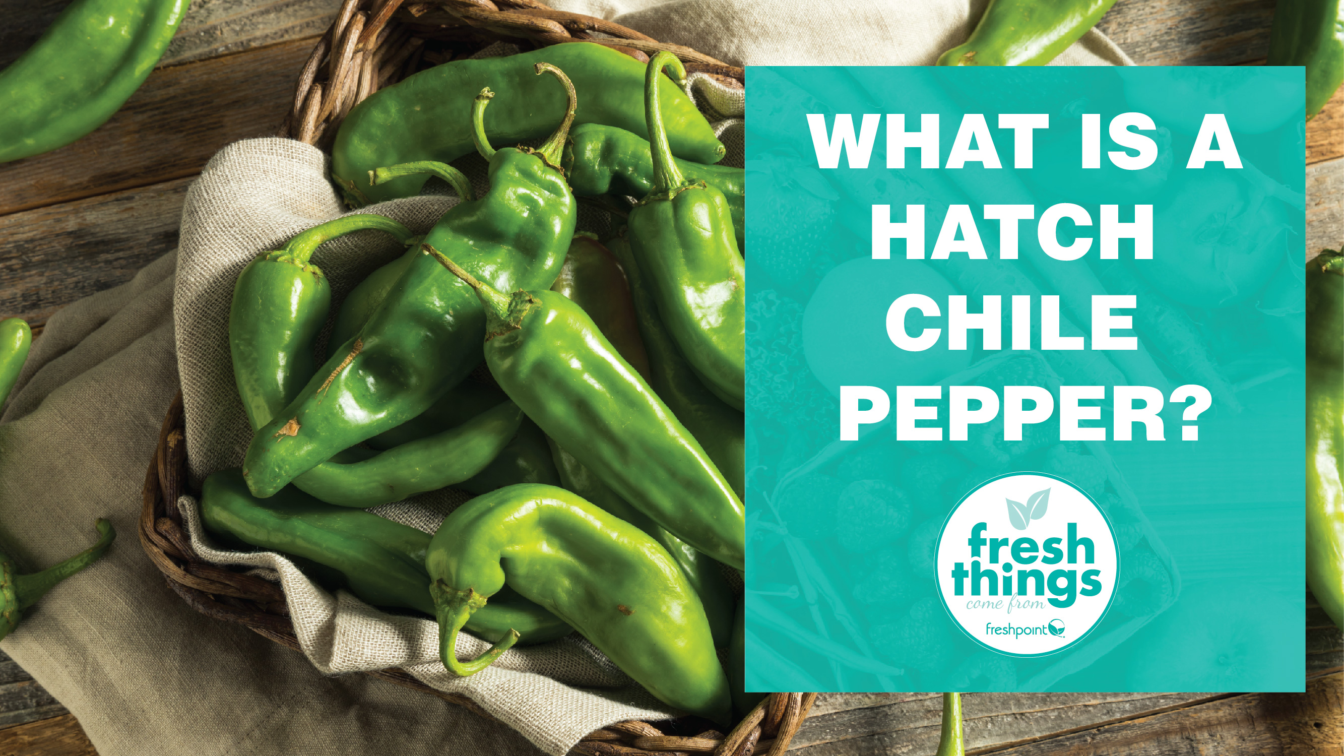 what-is-a-hatch-chile-pepper-freshpoint-produce