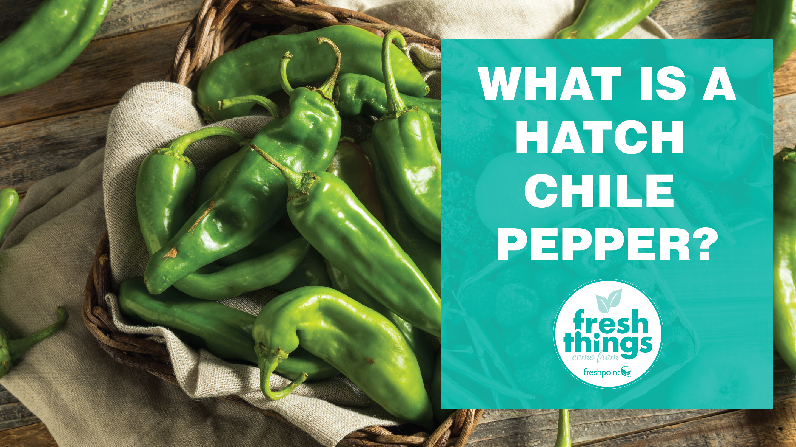 !video_thumbnails_YOUTUBE TEMPLATE_hatch-01 what-is-a-hatch-chile-pepper-freshpoint-produce