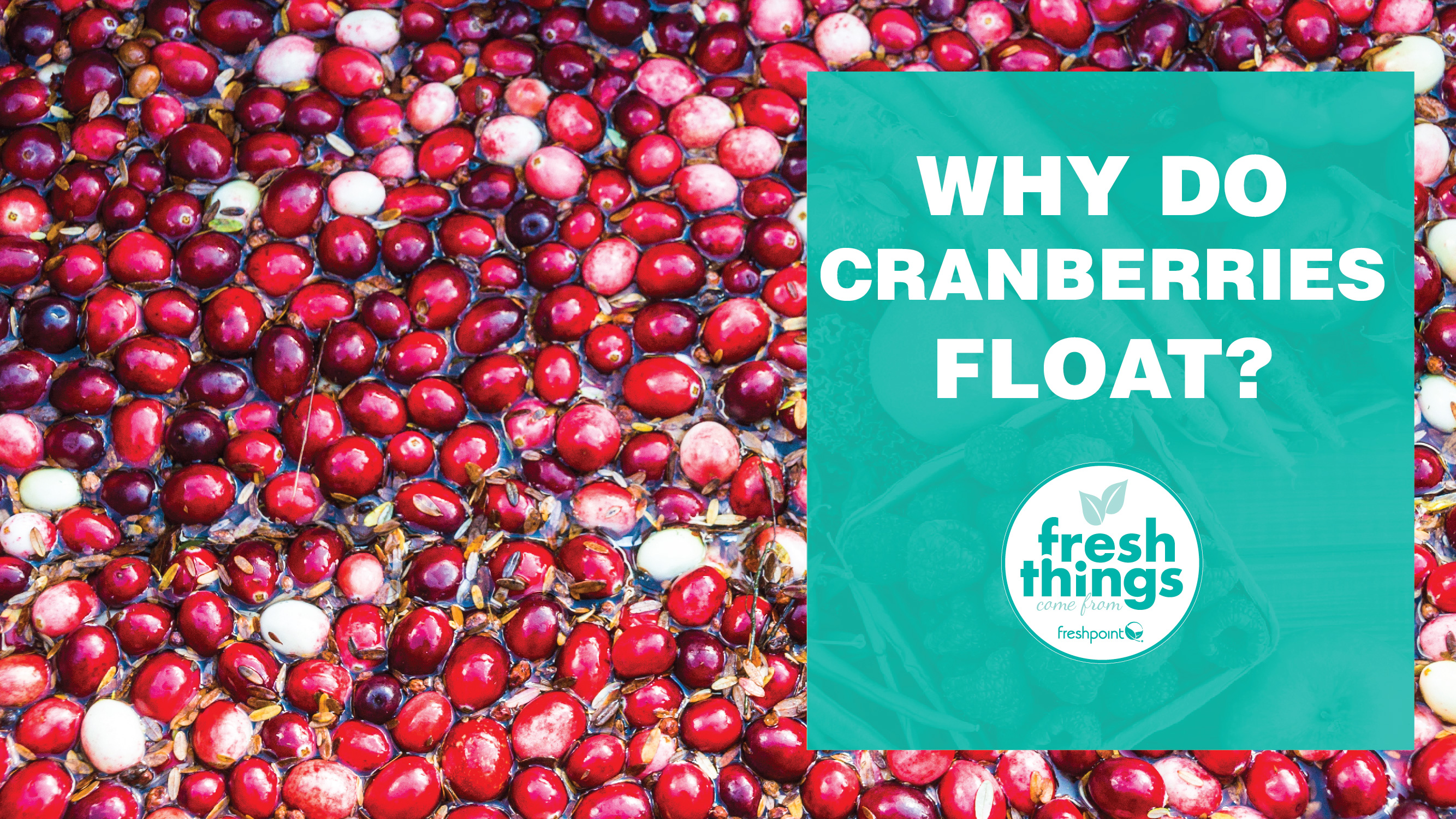 Freshpoint-produce-why-do-cranberries-float