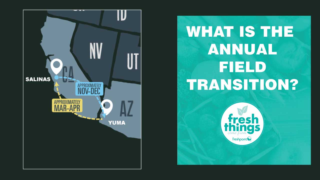 !video_thumbnails_YOUTUBE-TEMPLATE_transition-fields annual-field-transition-freshpoint-produce