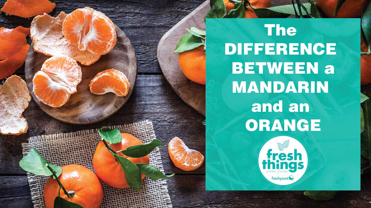 FreshPoint  Fresh Things Video: The Difference Between a Mandarin and an  Orange