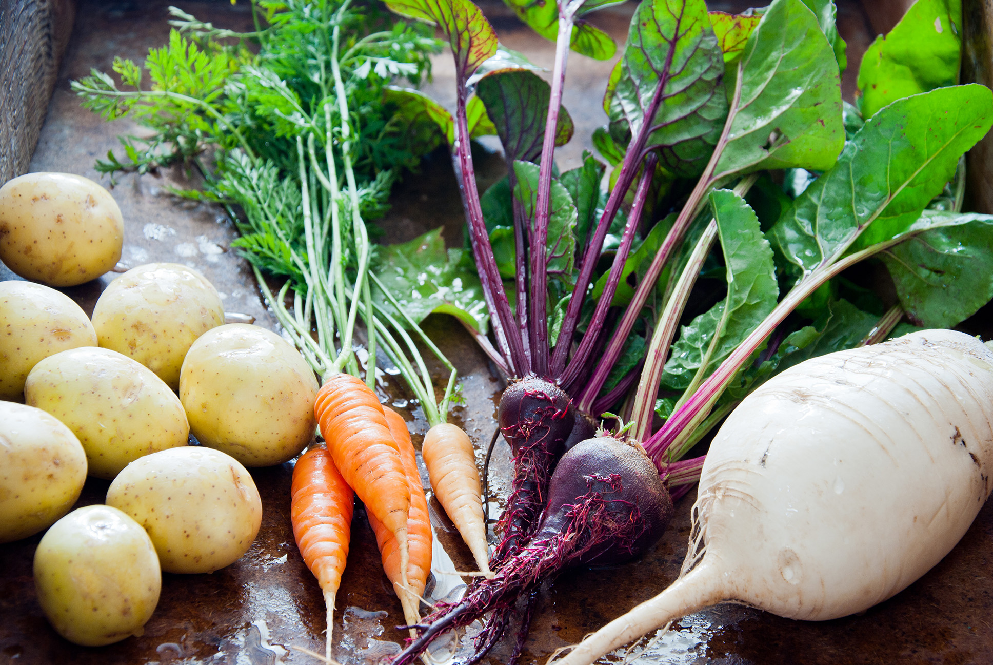 root vegetables to lose weight