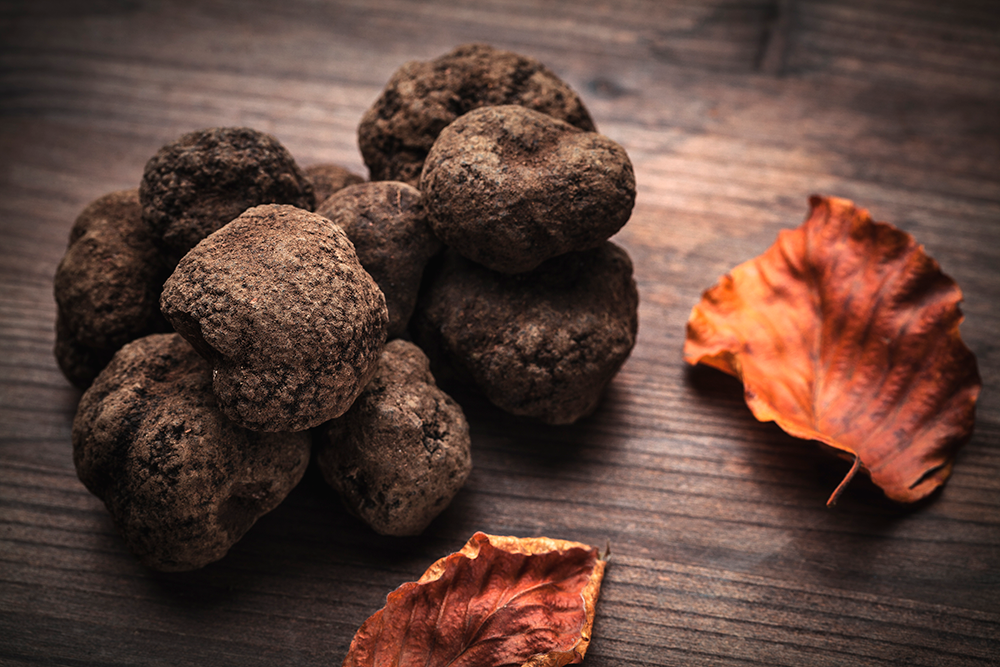 FreshPoint Why are Black Winter truffles expensive?