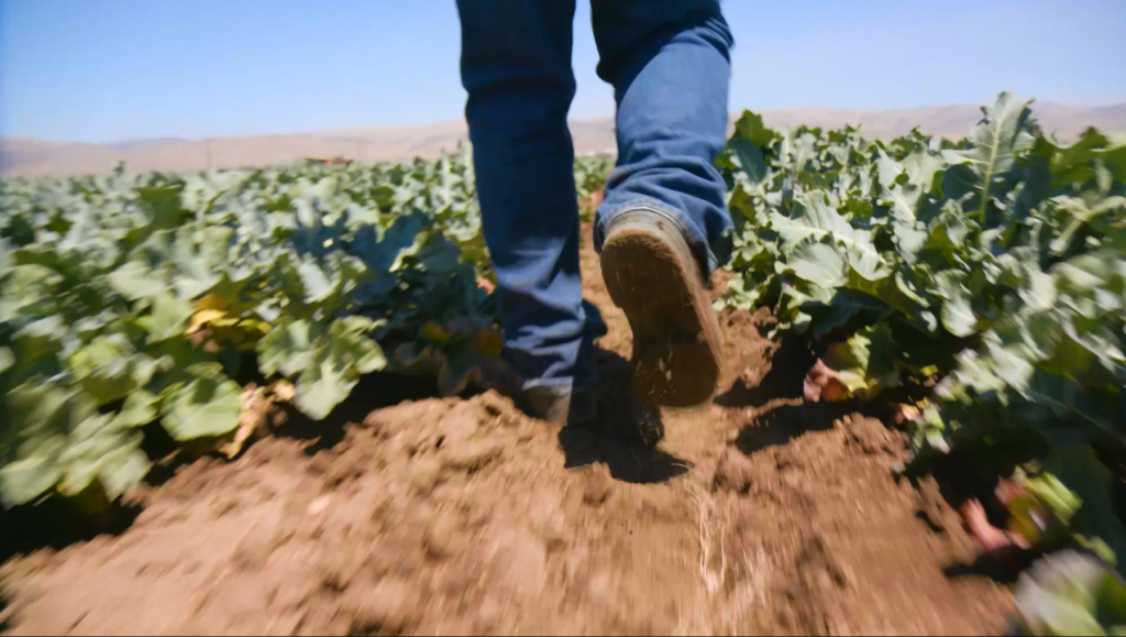 FreshPoint The Significant Cost Benefits of Natural Brand