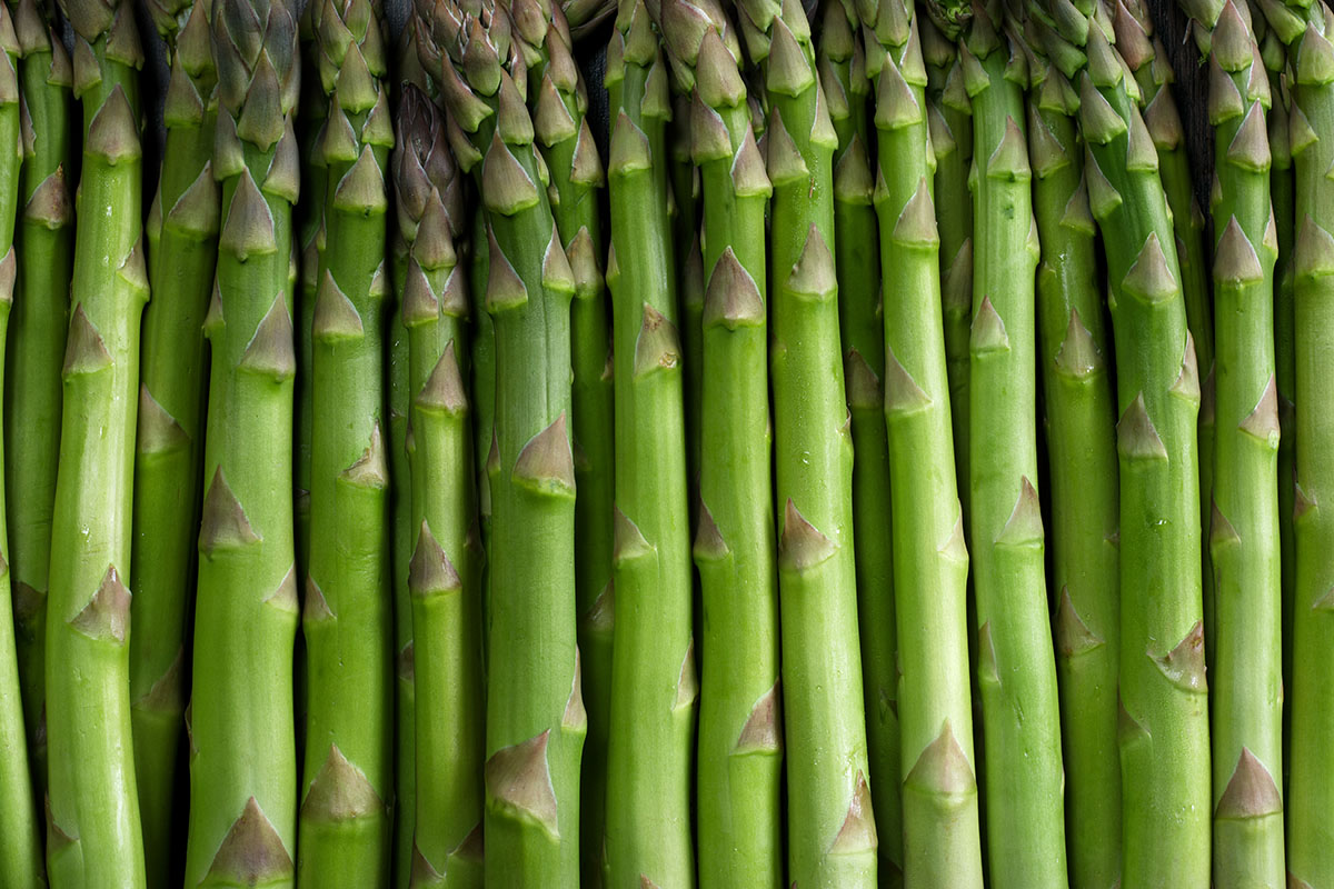 Asparagus background A close up of green asparagus spears.