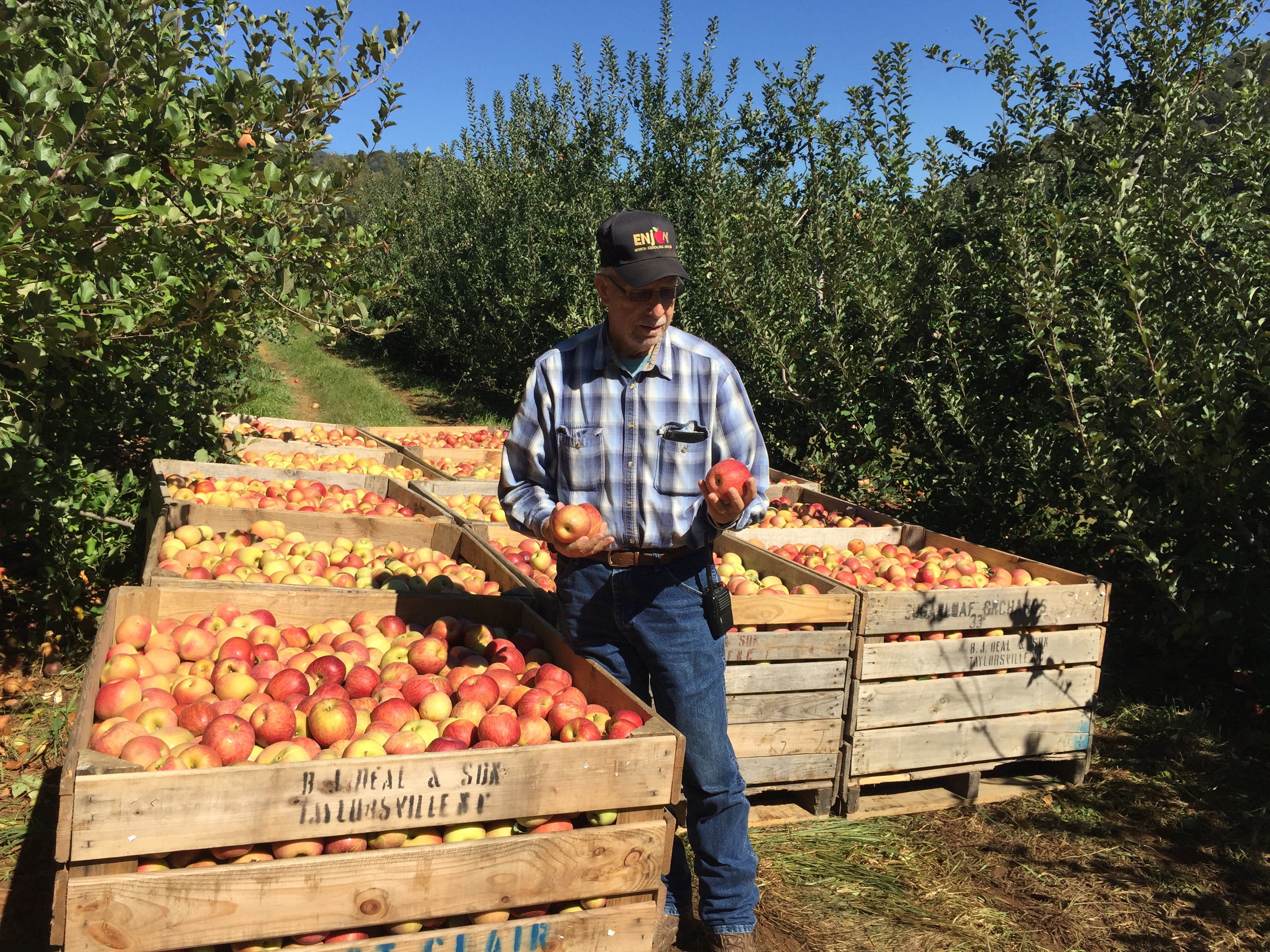 Fresh Produce Sourced From Local Farmers