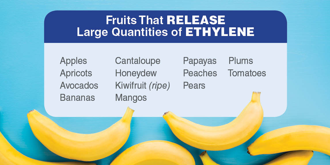FreshPoint | Produce 101: Banana Guide
