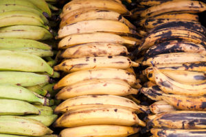 freshpoint-produce-101-tropical-fruit-plantains