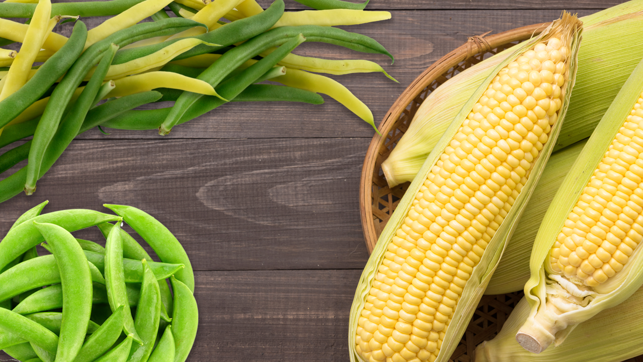 peas beans corn background v2 A composed image of corn, green and yellow wax beans, and sugar snap peas on a wooden background.