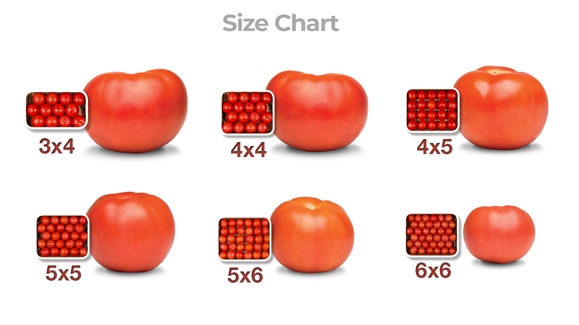 Roma Tomato Size Chart