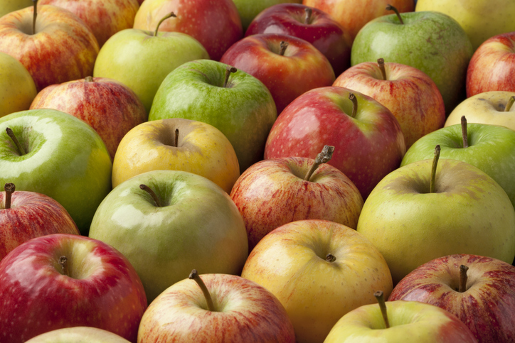 Seasonal Apple Guide, Learn About Apple Varieties