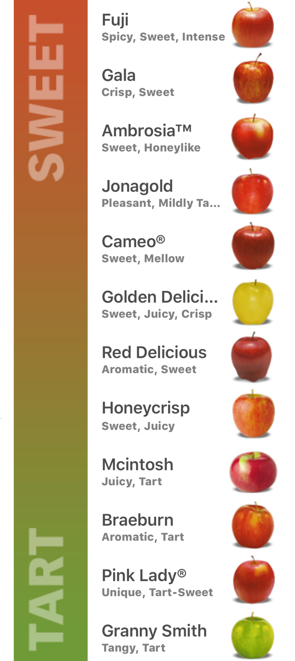 Apple Varieties Comparison Chart