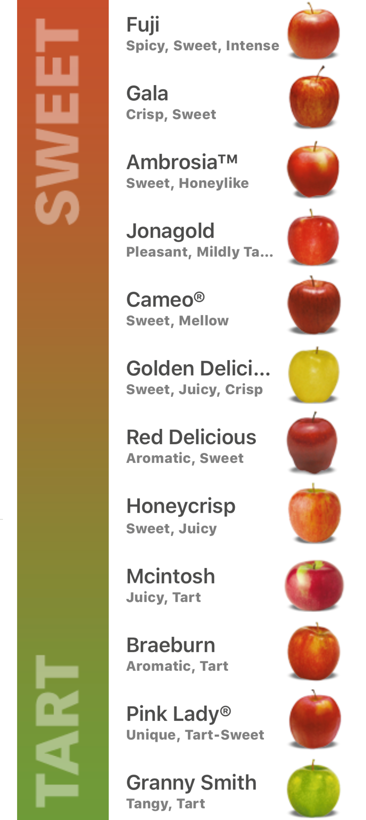 Apple Chart Fruit