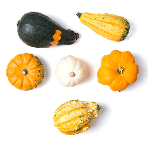 A variety of decorative gourds in multiple colors and shapes.