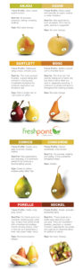 Freshpoint-produce-101-pears-flavor-chart