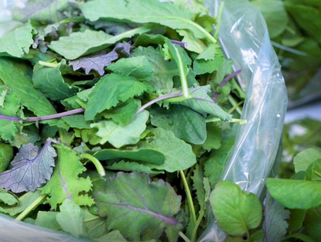 FreshPoint Produce 101 Tender Greens