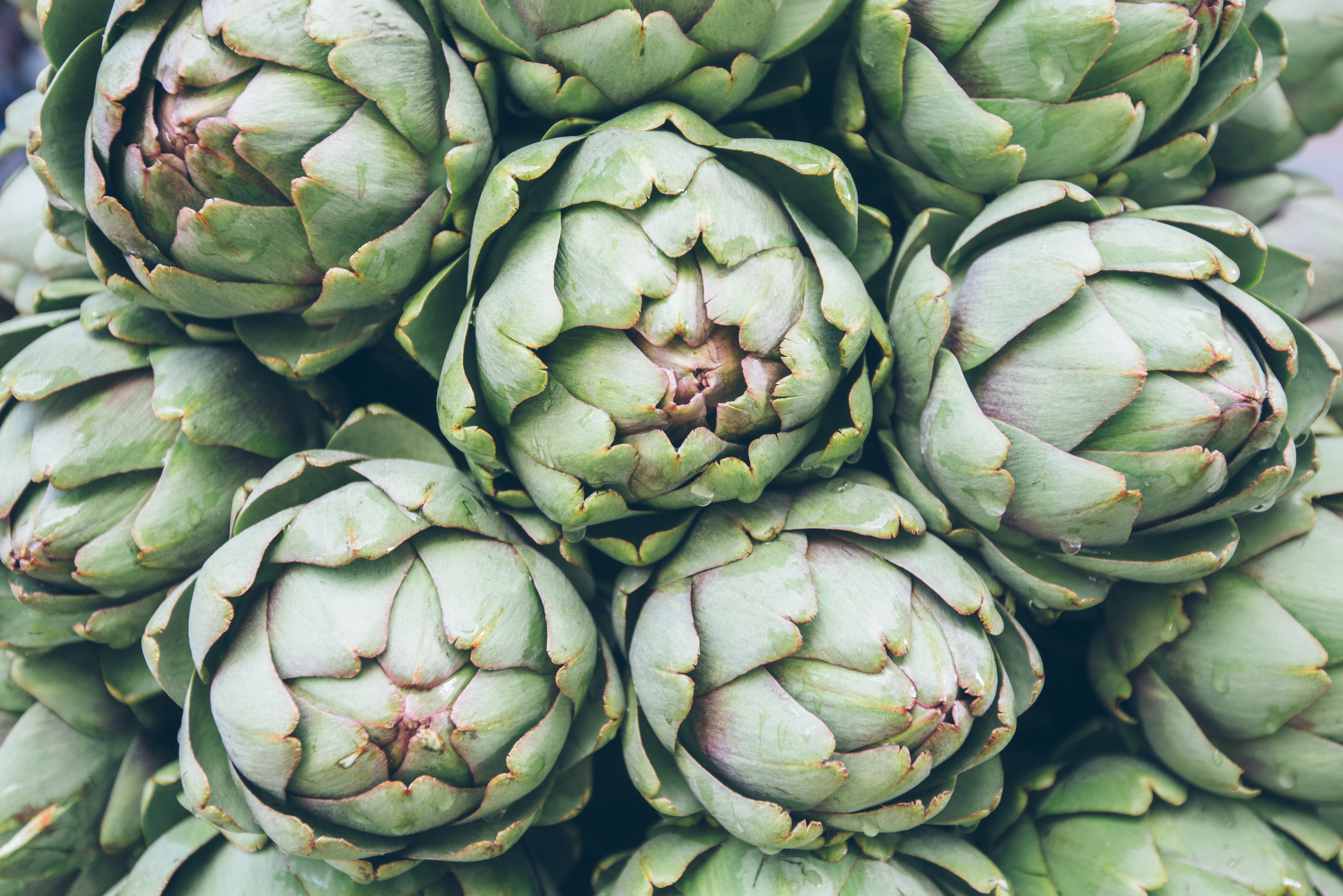 Artichokes A close up group shot of artichokes.