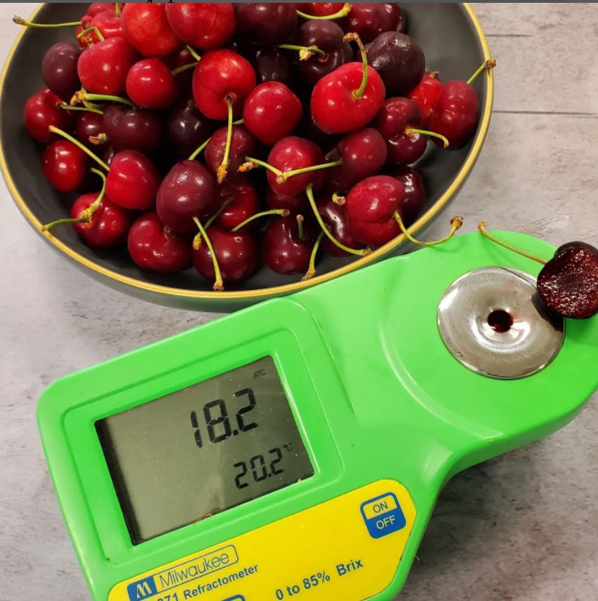 A digital refractometer with a brix reading of 18.2 next to a bowl of Early Glenn Cherries.
