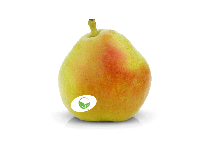 anjou-pears-freshpoint-produce An image of a d'Anjou pear