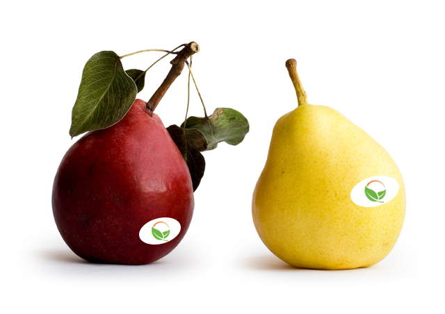 Organic Bartlett Pears — Melissas Produce