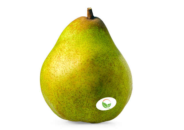 A Comice pear