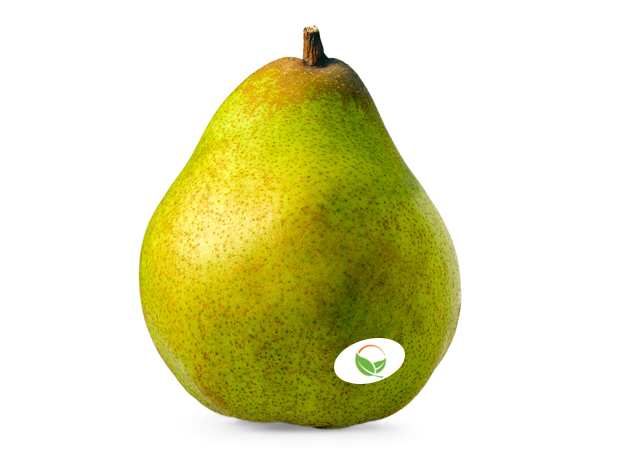 Comice Pear Stock Photo - Download Image Now - Pear, White Background,  White Color - iStock