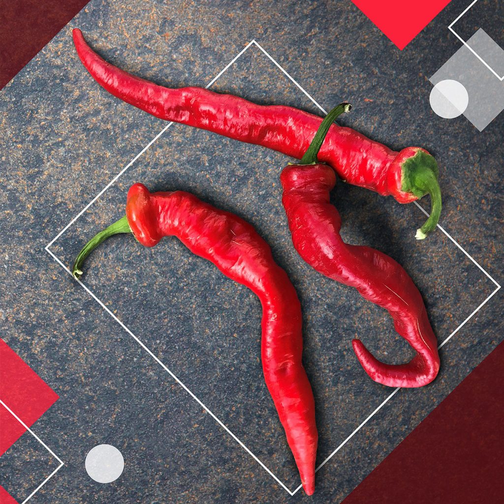 An image of 3 long, twisty, tapered, red, shiny "Jimmy Nardello" peppers, pictured on a charcoal gray background with geometric shapes.