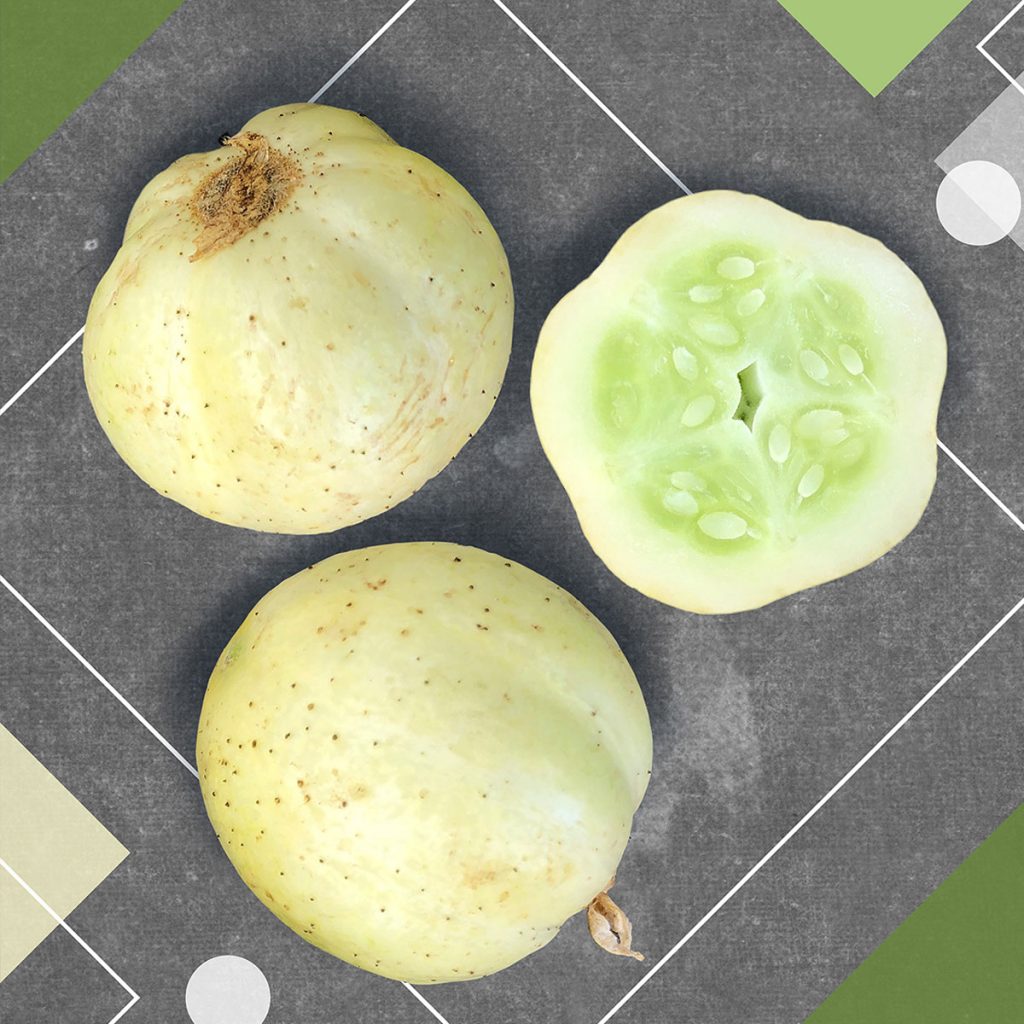 An image of a cross section of a round, pale yellow colored "Lemon Cucumber" on a charcoal gray background with geometric shapes.