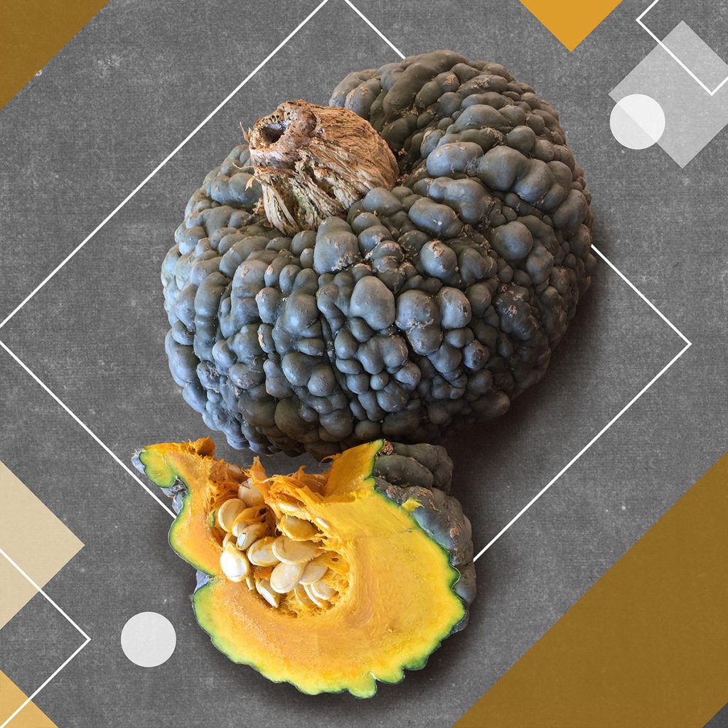 An image of a whole and cut/cross section of the “Marina di Chioggia” pumpkin. This pumpkin skin is greenish to gray colored, and covered with protuberances, which gives it a “warty” appearance. The flesh is orange and has seeds. It is pictured on a charcoal gray background with geometric shapes.