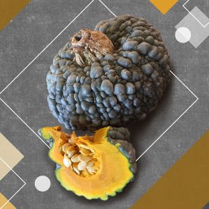 An image of a whole and cut/cross section of the “Marina di Chioggia” pumpkin. This pumpkin skin is greenish to gray, and covered with protuberances, which gives it a “warty” appearance. The flesh is orange and has seeds. It is pictured on a charcoal gray background with geometric shapes.