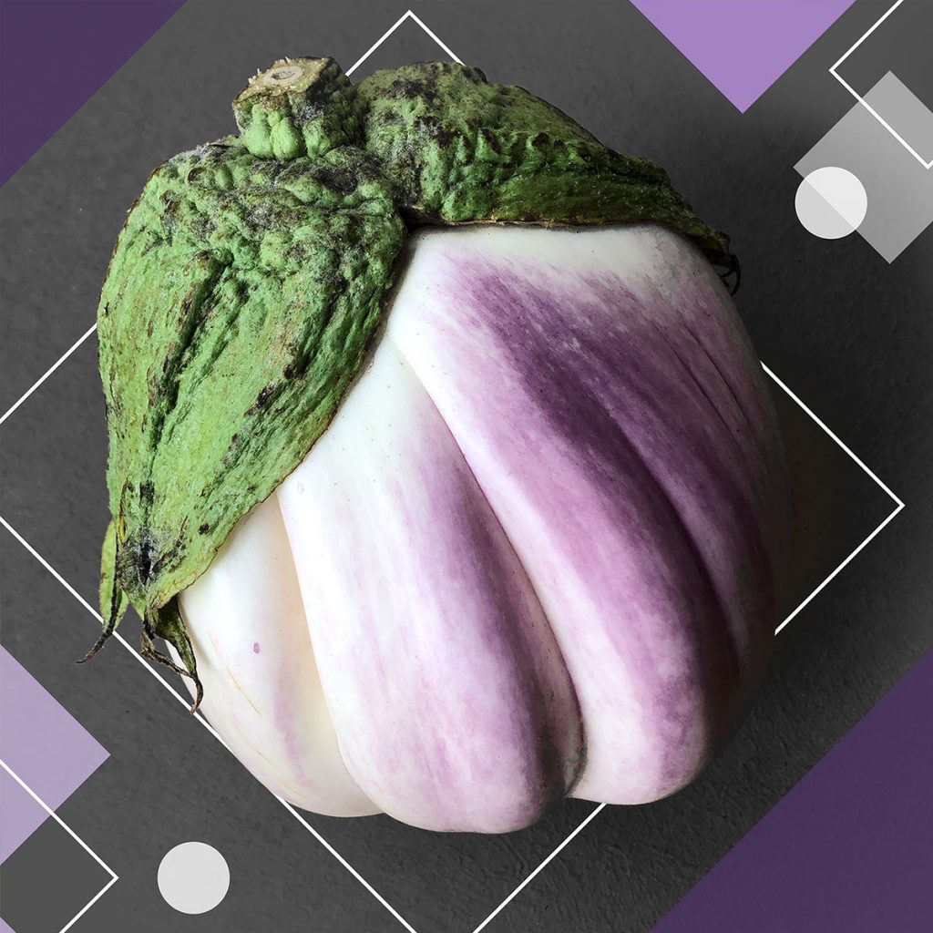 An image of a large, round, white and pale purple "Rosa Bianca" eggplant with a green calyx, pictured on a charcoal gray background with geometric shapes.
