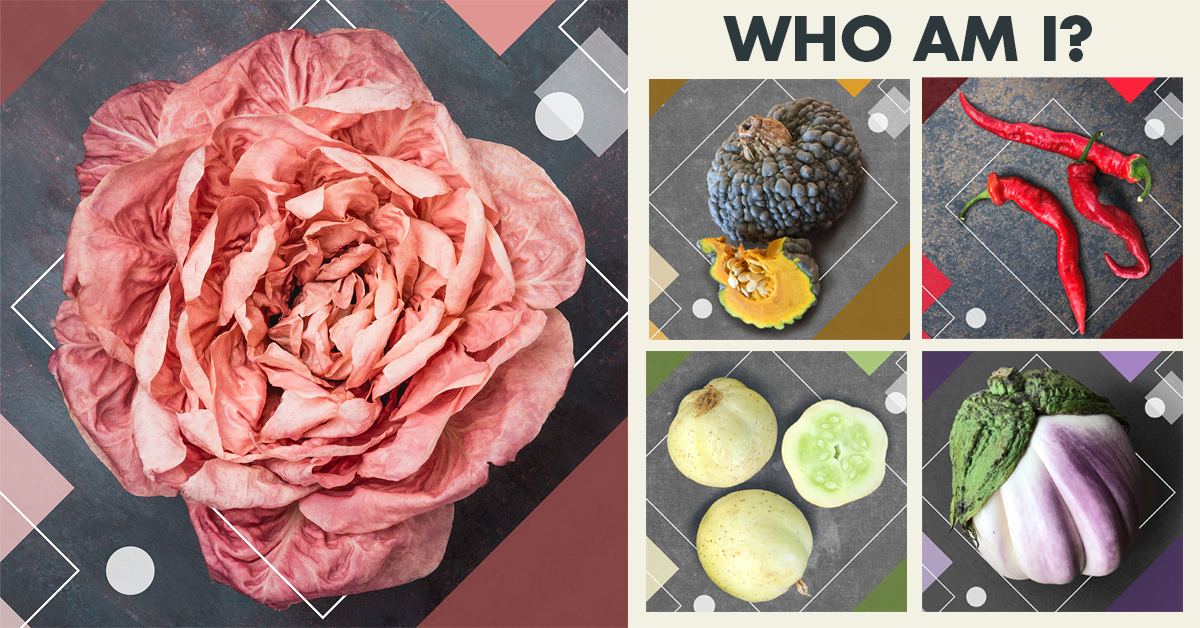 A college of the 5 specialty produce tems: Pink Radicchio, Jimy Nardello Peppers, Lemon Cucumbers, Rosa Bianca eggplant, and a Marina di Chioggia pumpkin.