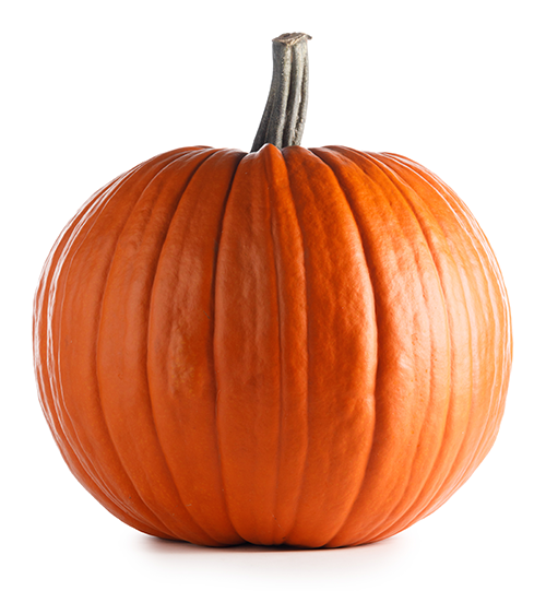 Large orange pumpkin