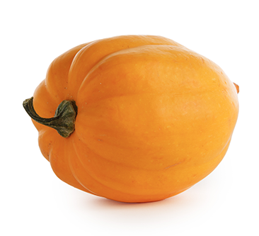 Orange, acorn-shaped squash