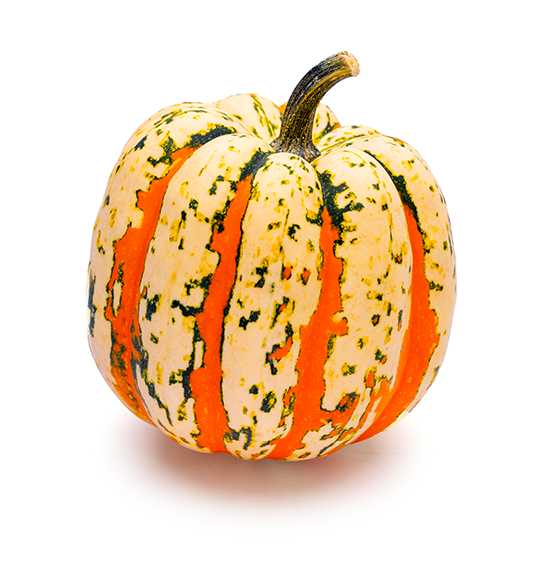 Multi colored small squash with orange and pale colored streaks, dappled with green.