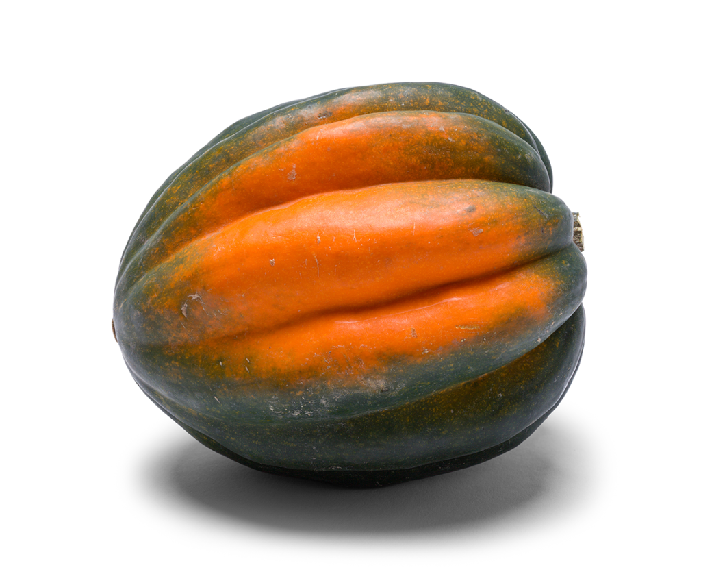 Fresh blue-green acorn-shaped squash with a bright orange blush to the skin.